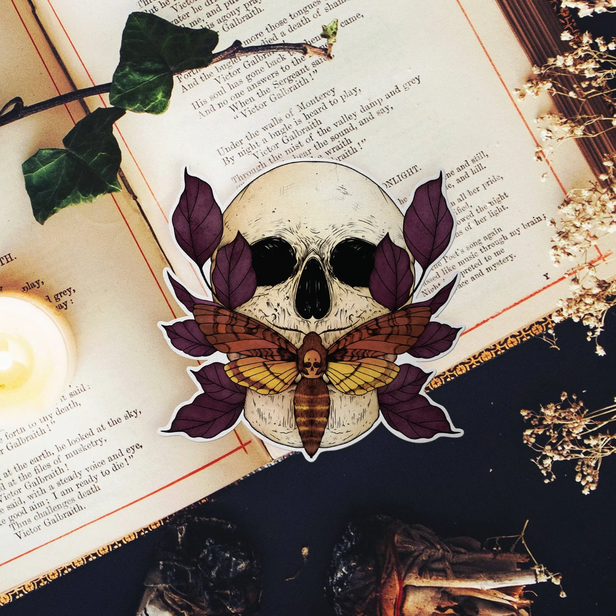 Death's Head Hawkmoth - Vinyl Sticker